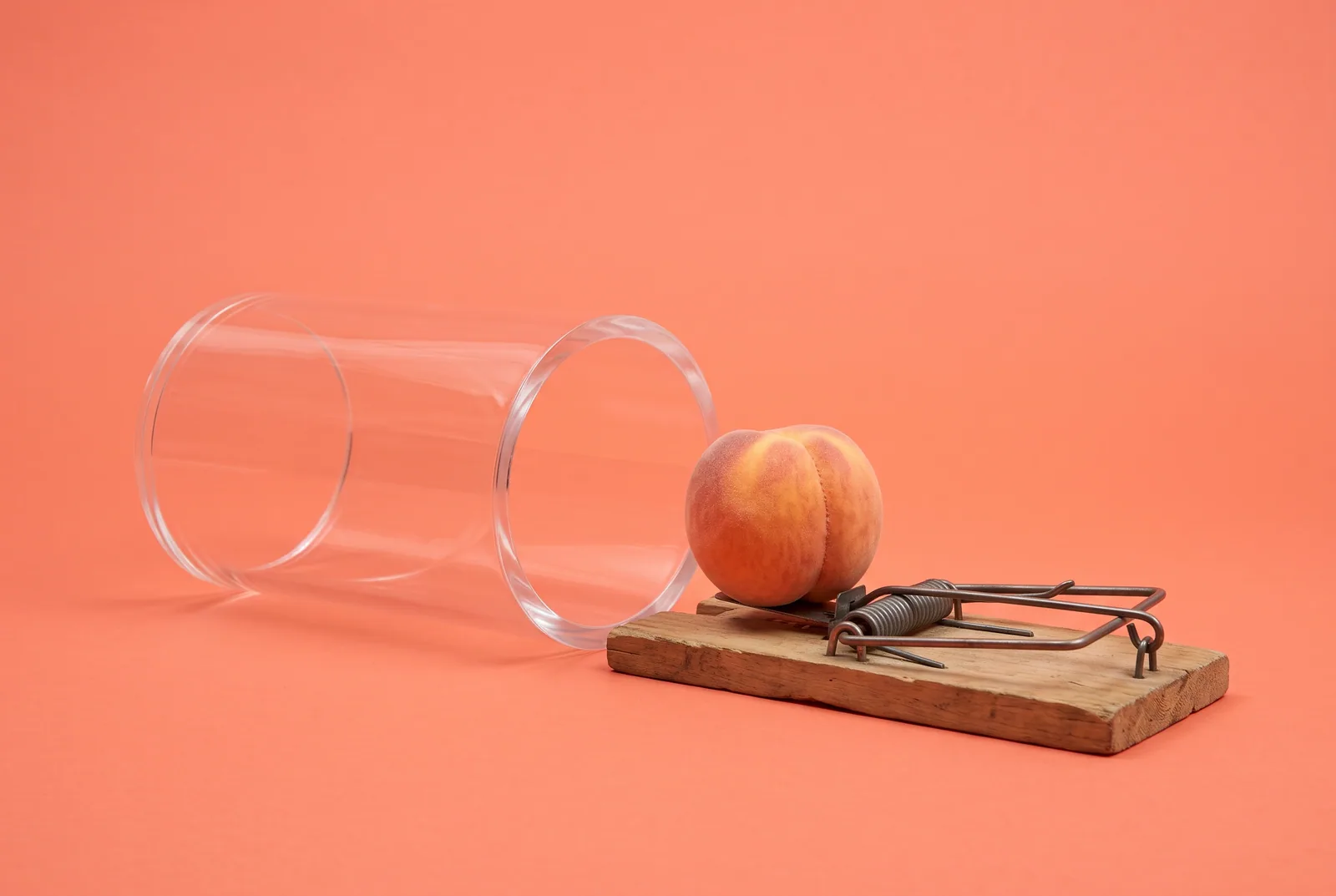 A ripe peach set as bait on an oversized wooden mousetrap at the end of a clear acrylic tunnel, the VPN trap when Pornhub is blocked in your state