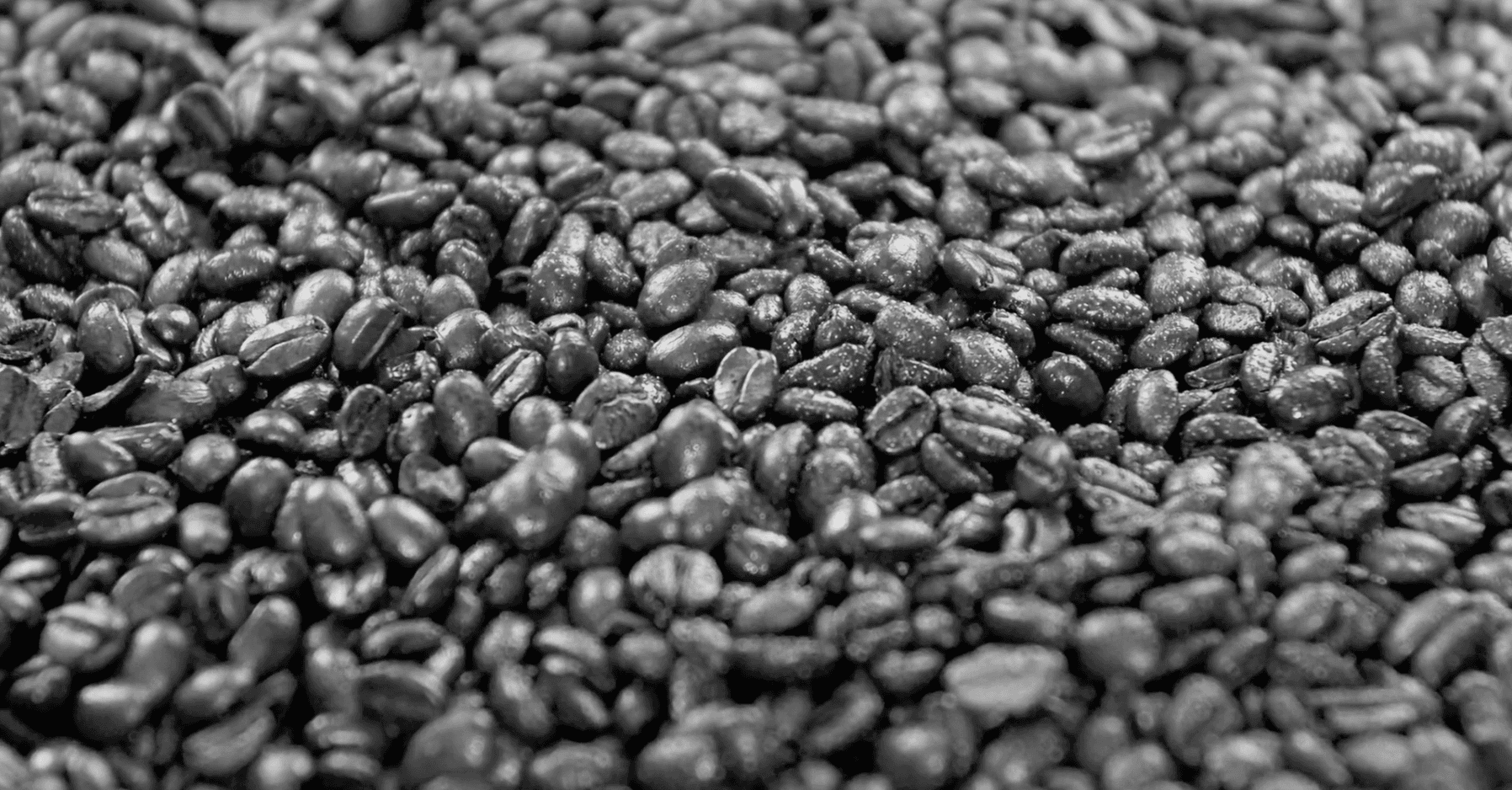 Preview of a clip for Gourmet Coffee - image of coffee beans