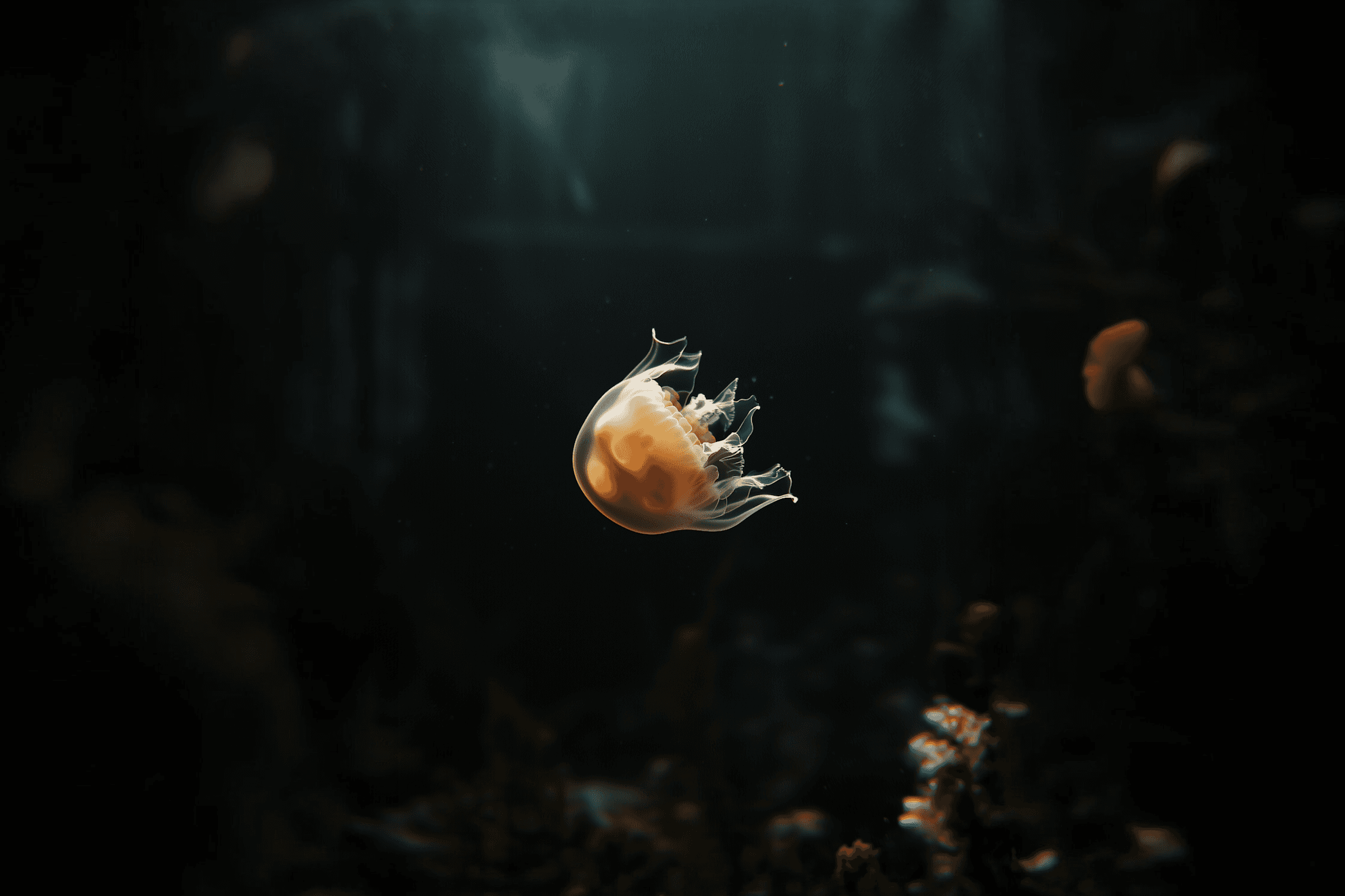 Dark ocean depth