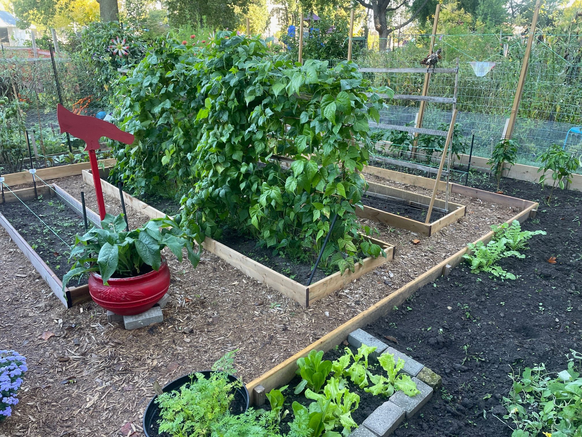 person holding green plant stem