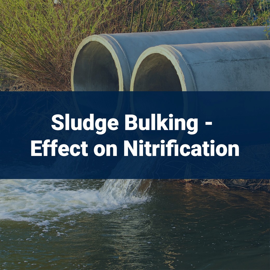 Sludge Bulking