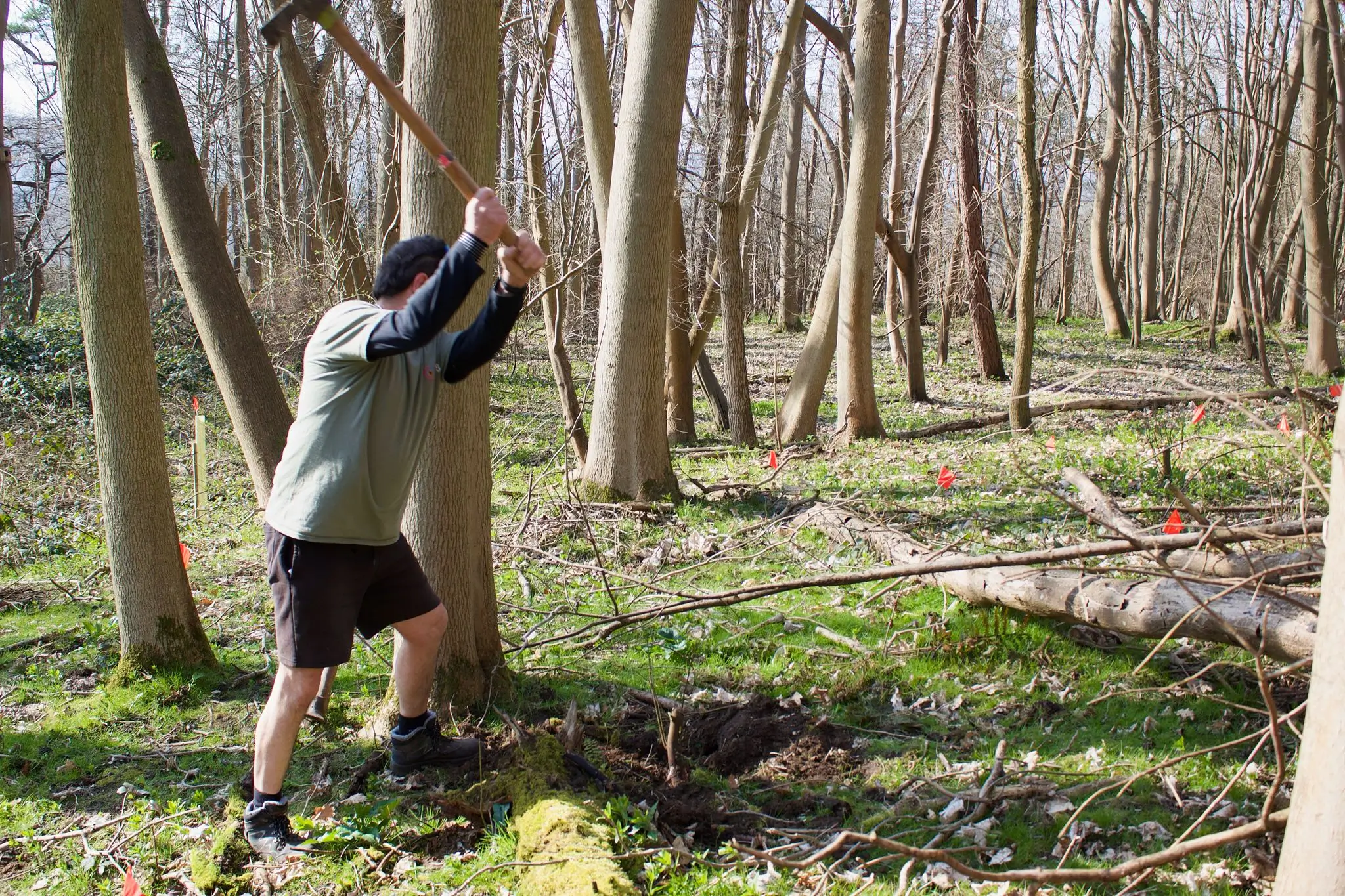 A person leans against a tree in a wooded area, surrounded by greenery and sunlight filtering through the branches.