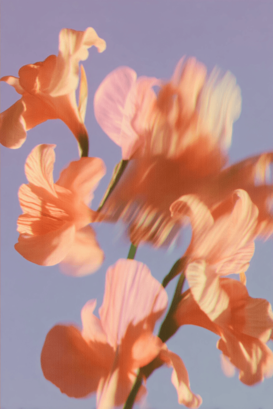 desktop illustration