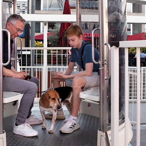 Pemandangan ke dalam gondola