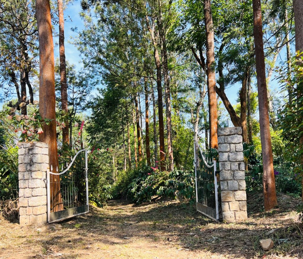 A gate opening to the verdant coffee plantation. 
