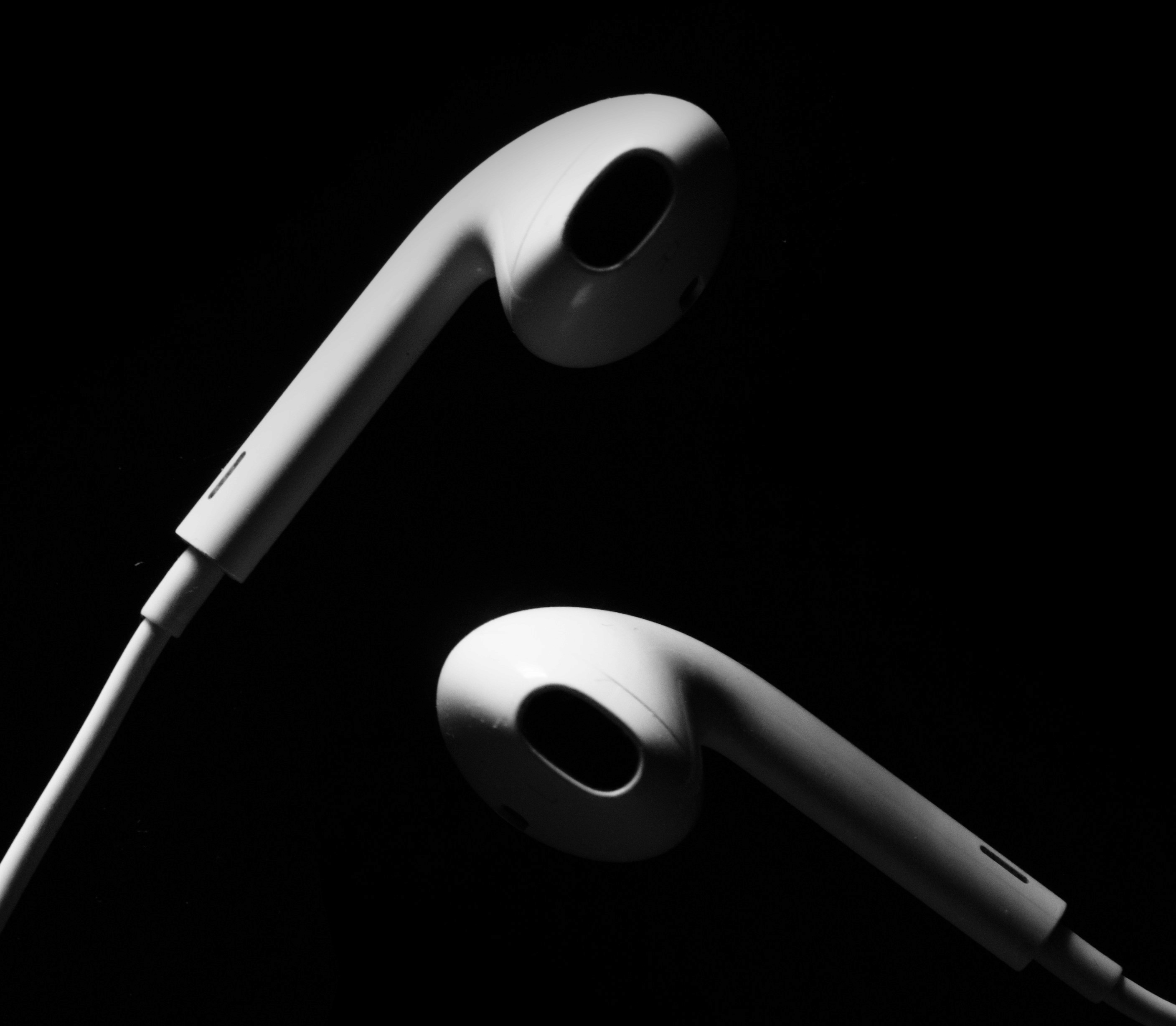 a black and white photo of a pair of ear buds