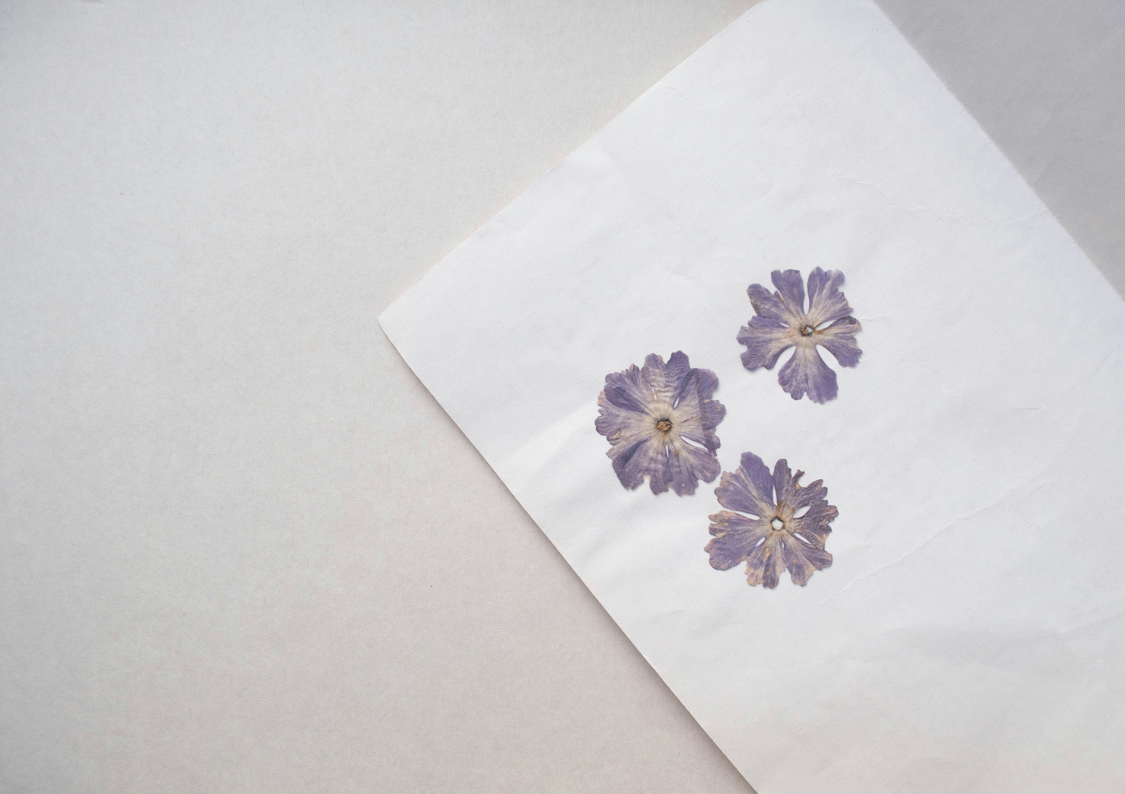 A white napkin with purple flowers on it