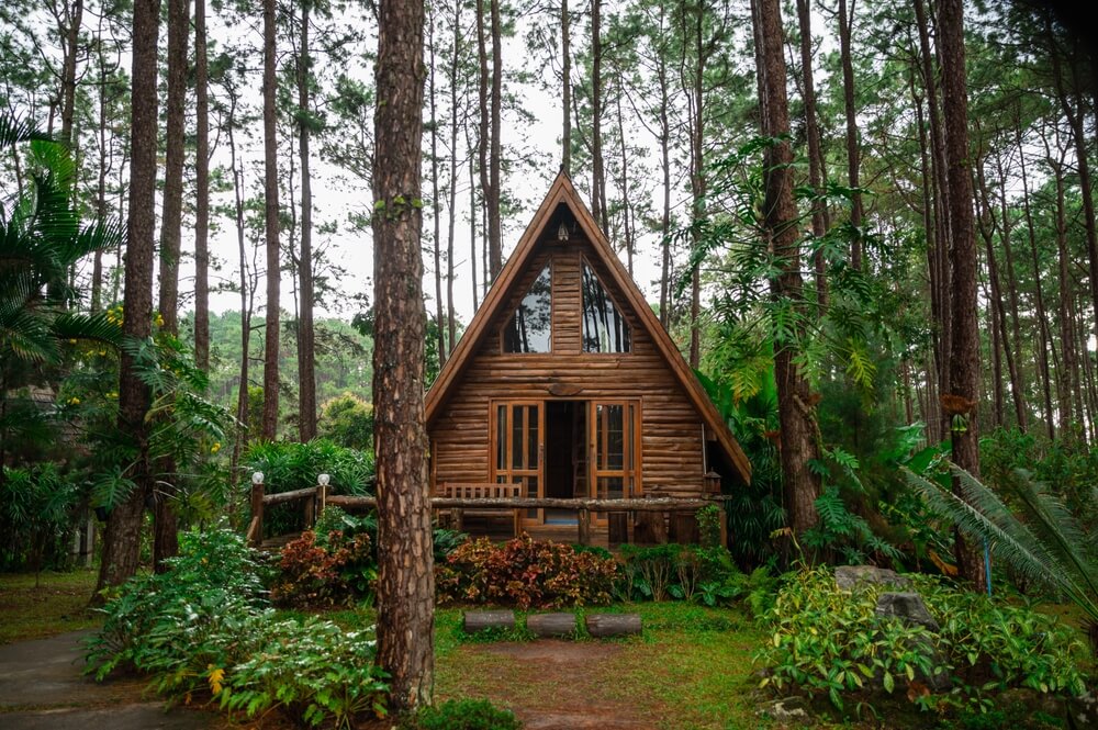 Cabin in woods