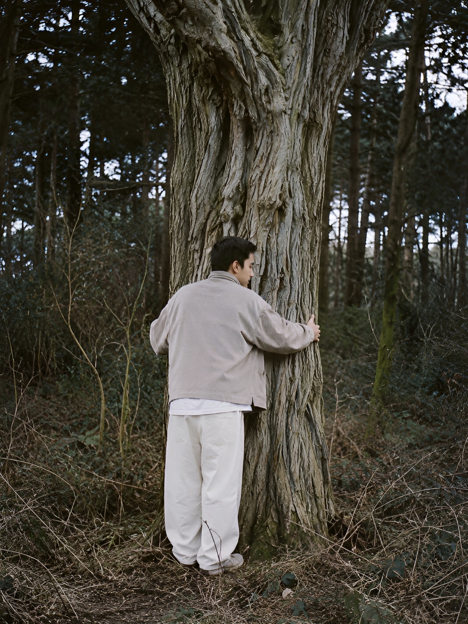 Person in a grey jacket hugging a tree in a quiet forest setting, captured with soft natural light and a calm, minimal atmosphere.