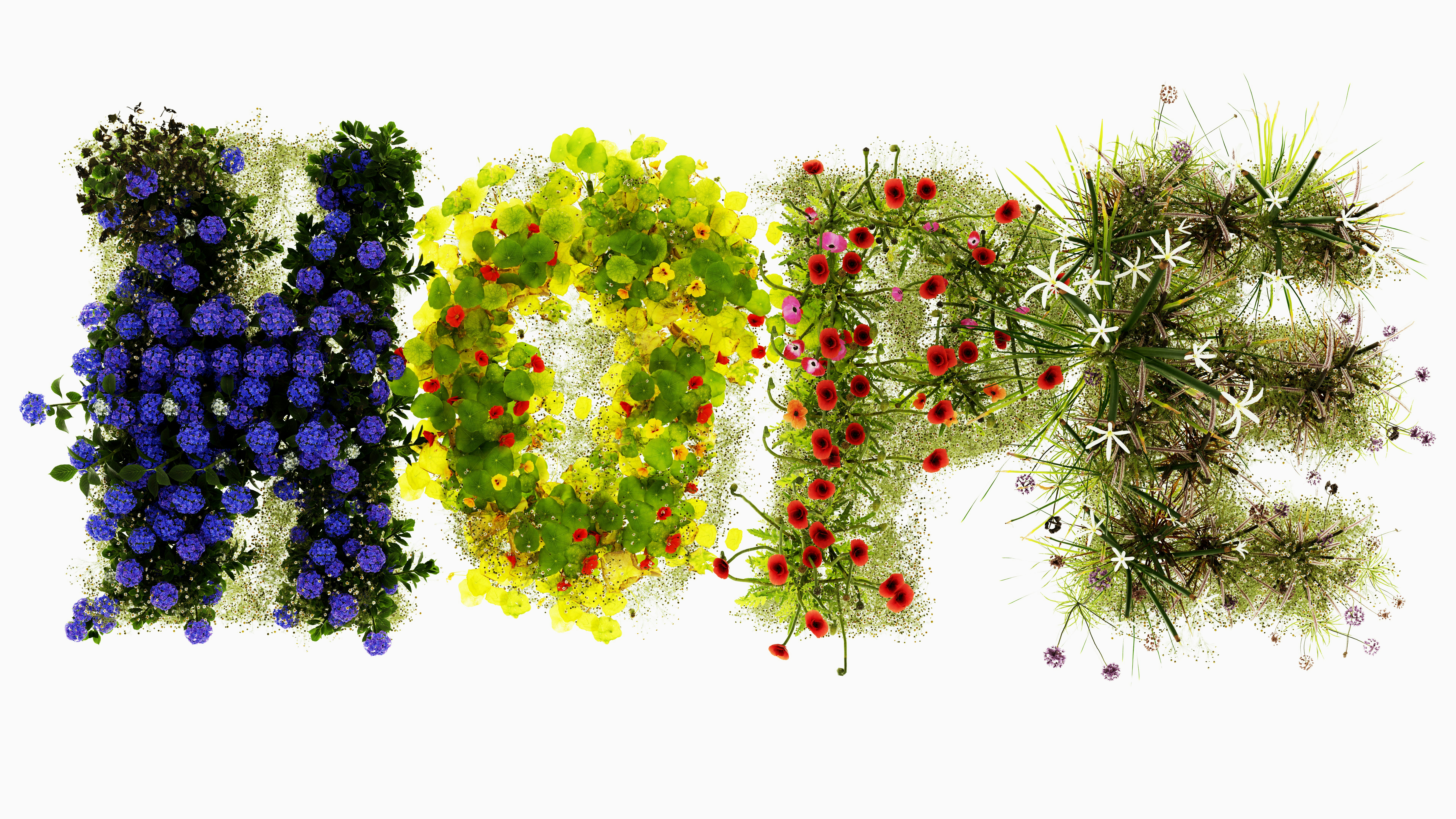 The word "hope" spelled out with colorful flowers and plants.