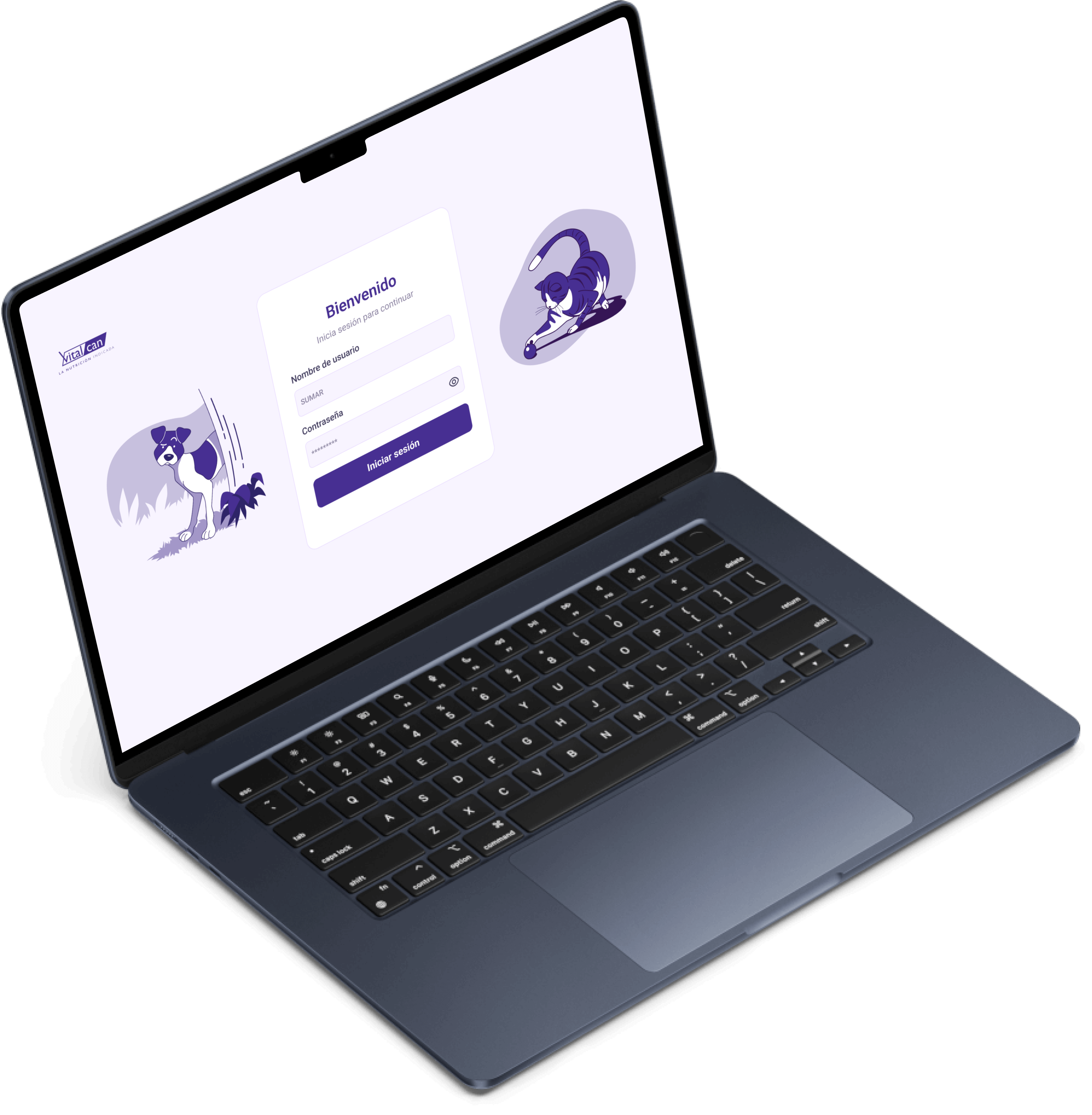 Proyectos de transformación digital: gestión documental Multi-Flow para Vitalcan y optimización de procesos de nutrición, cocina y mantenimiento en clínicas mediante apps personalizadas para WeCare.