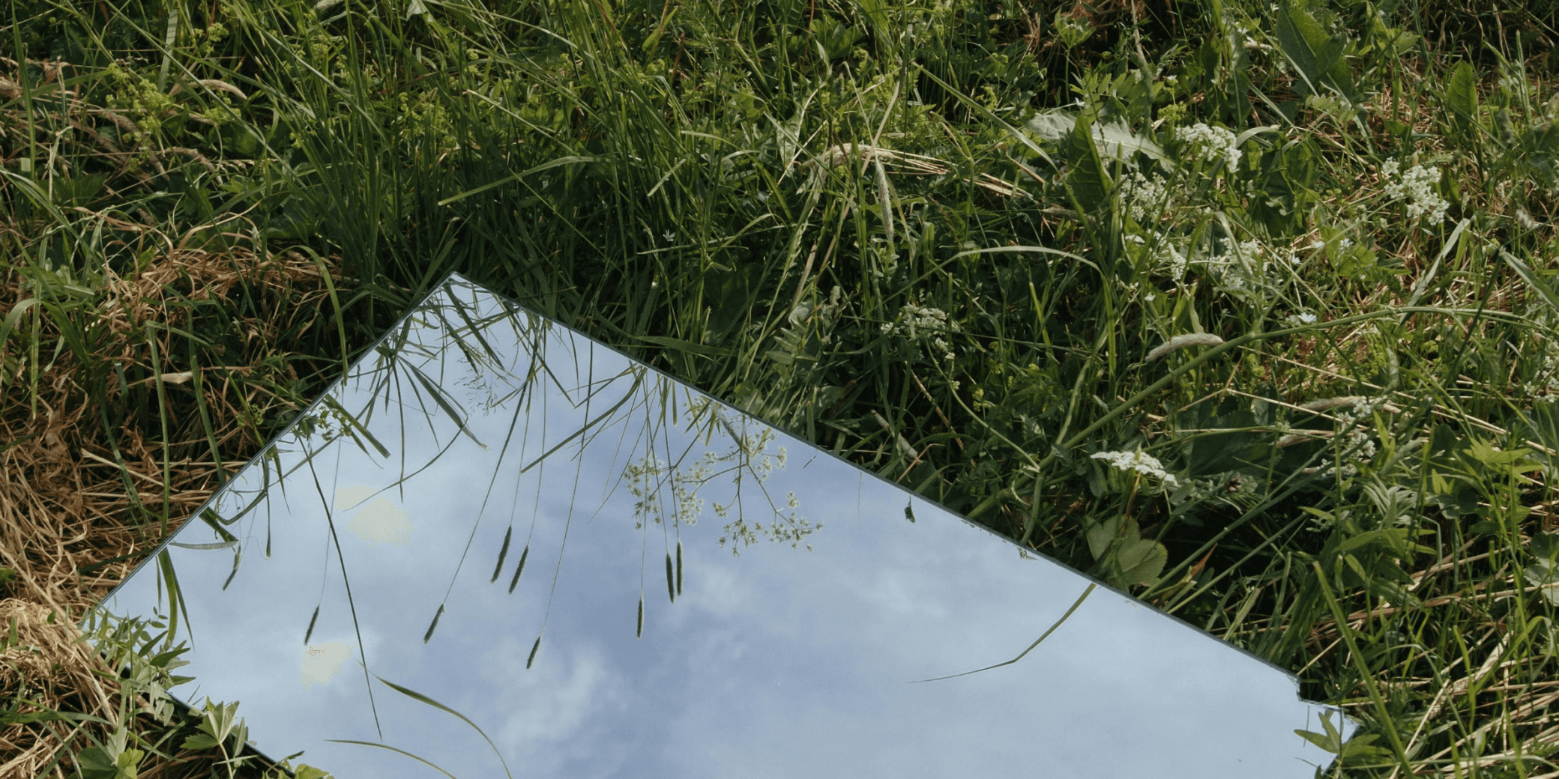  Mirror in grass