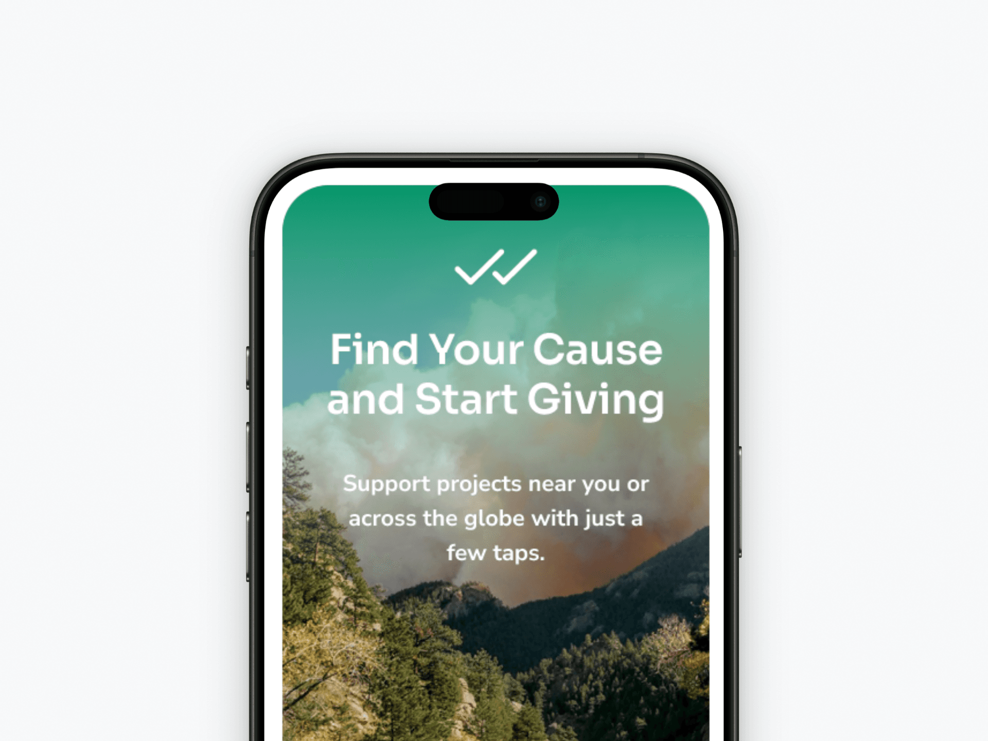 2 iPads displaying the resposiveness of the Compadre website
