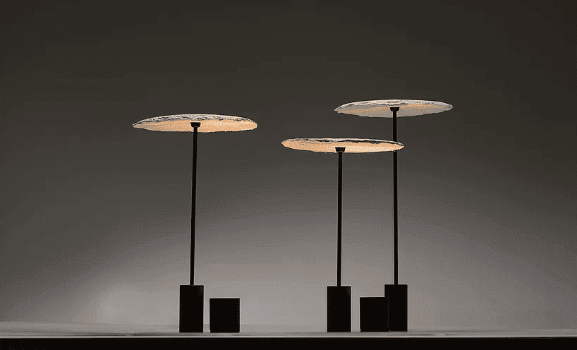 mycelium lights