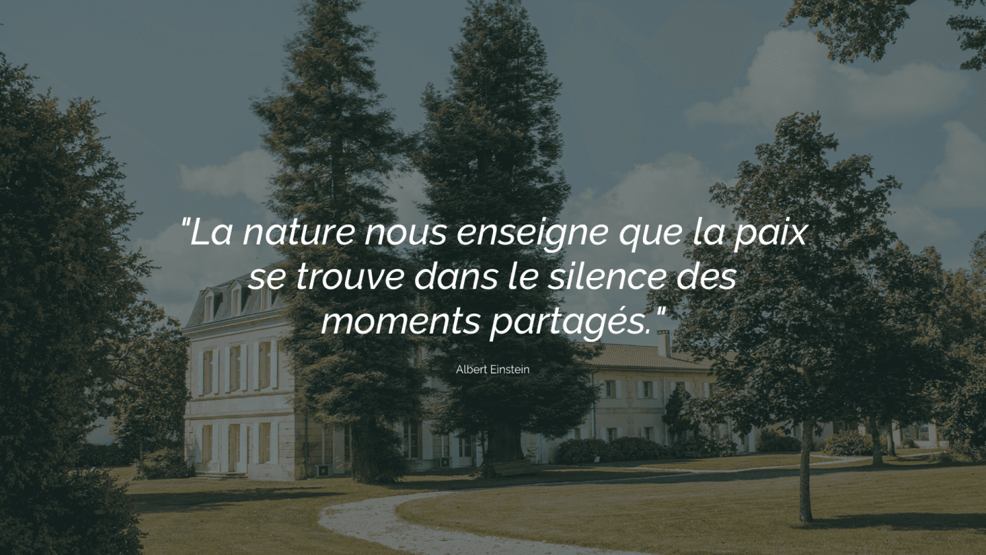 Visual with text centered