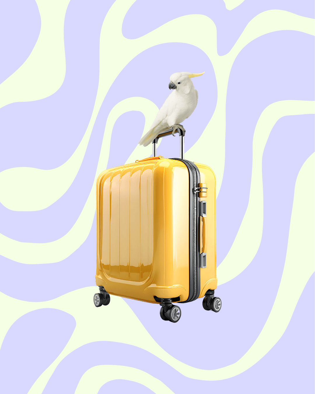 Luggage storage Vancouver