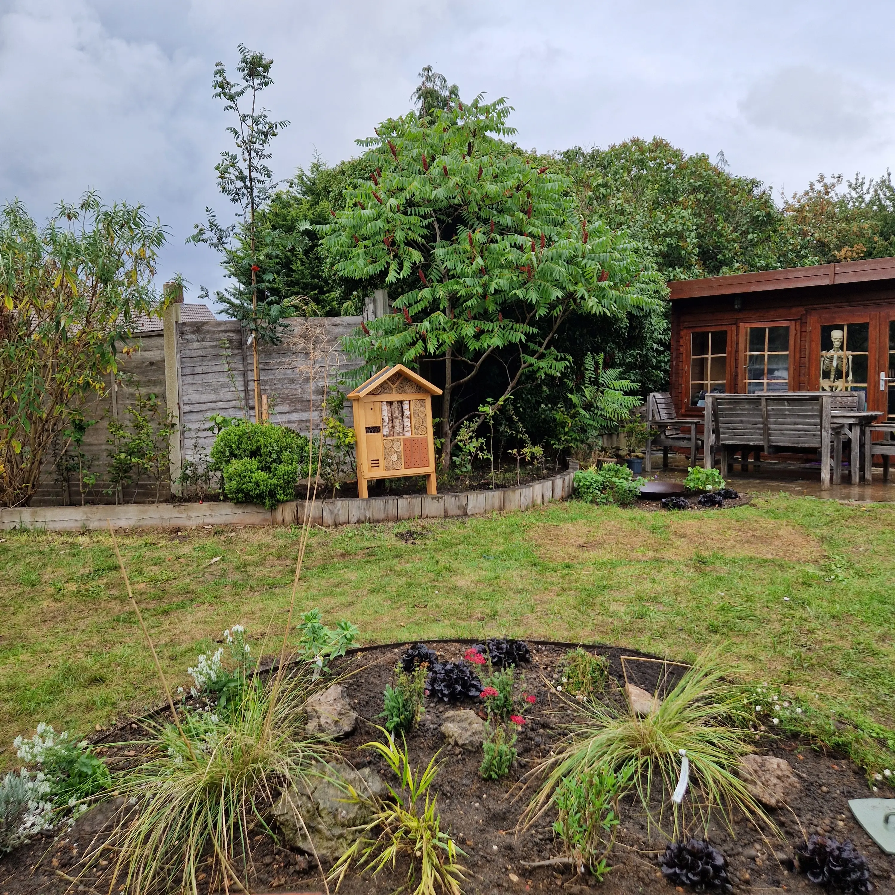 A green garden with plants, a wooden shed, and trees in the background under a cloudy sky.