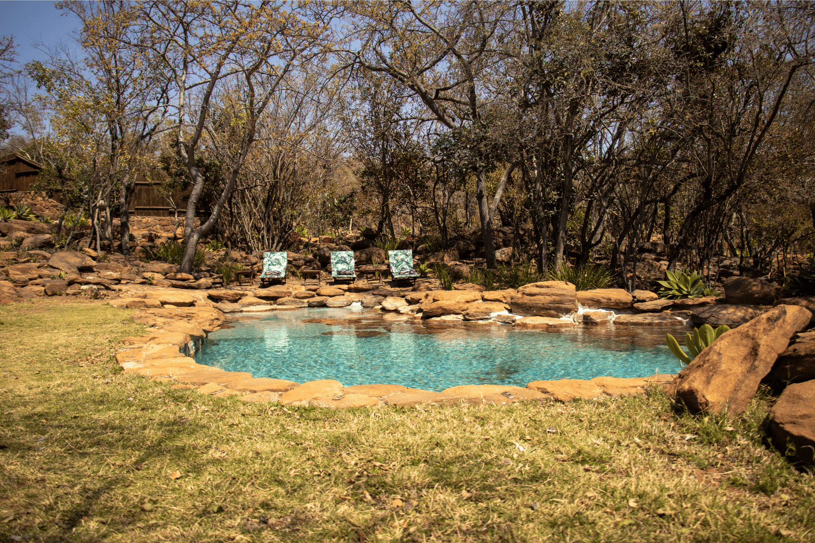 Piscine naturelle entourée de rochers dans un lodge de safari en Afrique du Sud, avec chaises longues et végétation du bush.