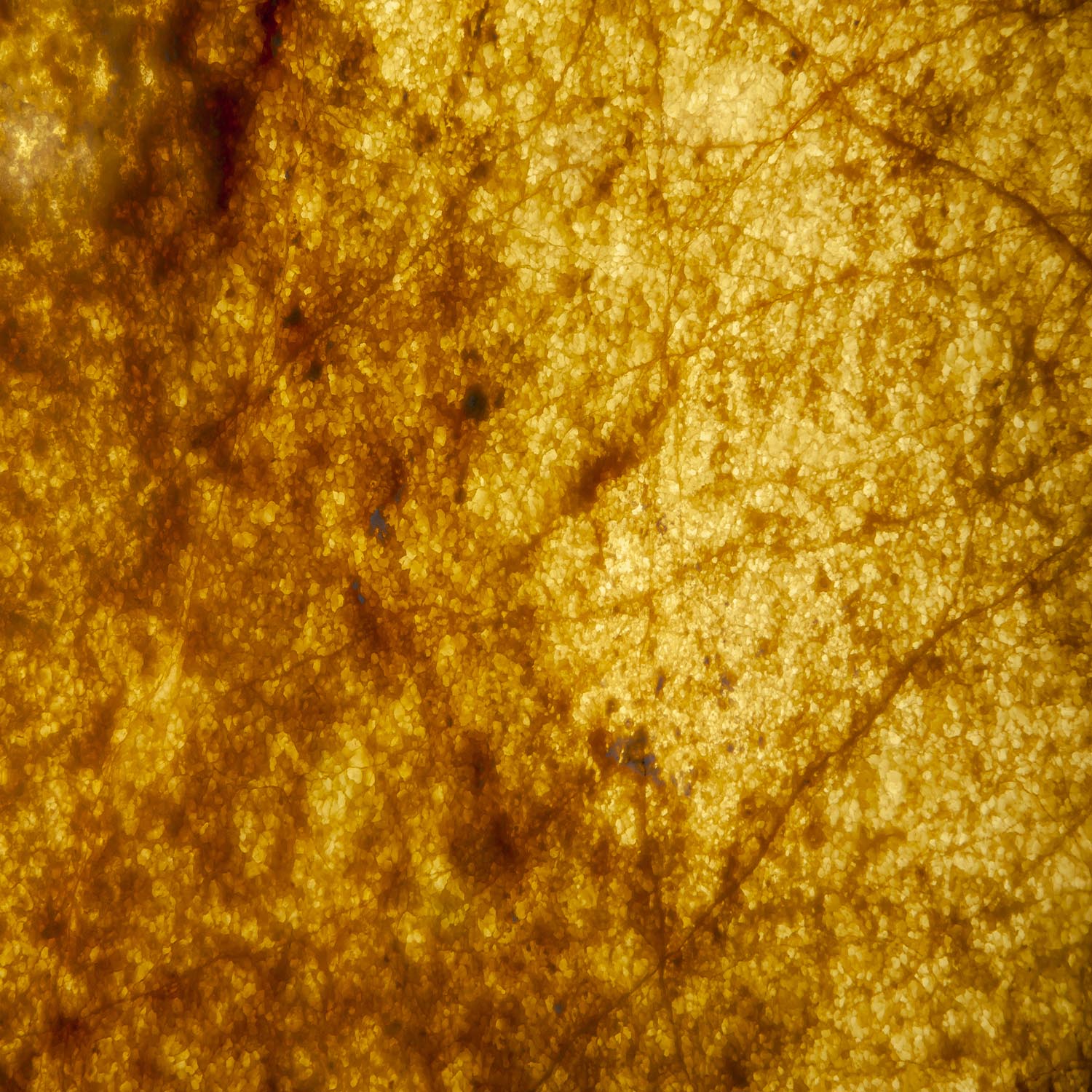 Dunkelbraune Maserung im Cappuccino C.C.