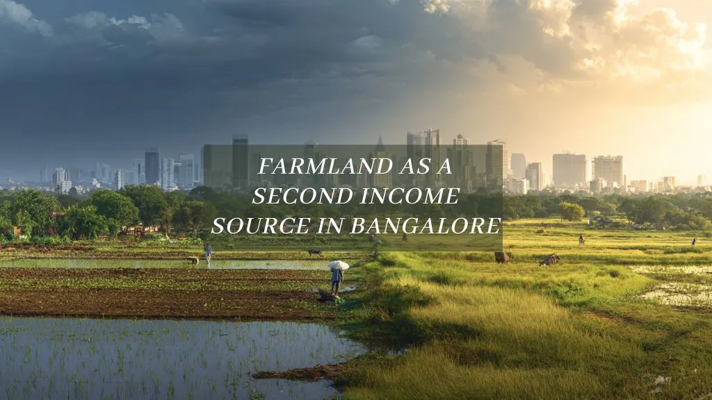 Farmland as a Second Income Source for Bangalore IT Professionals