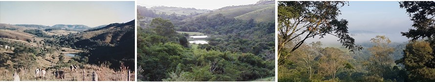 Montagem com três paisagens de morros e mata nativa em reservas parceiras do projeto