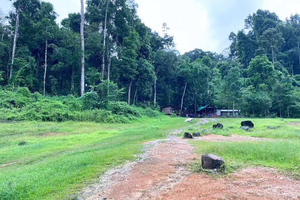 Hiking trail into the jungle, Khao Sok