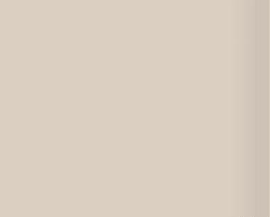 4-Champagne White