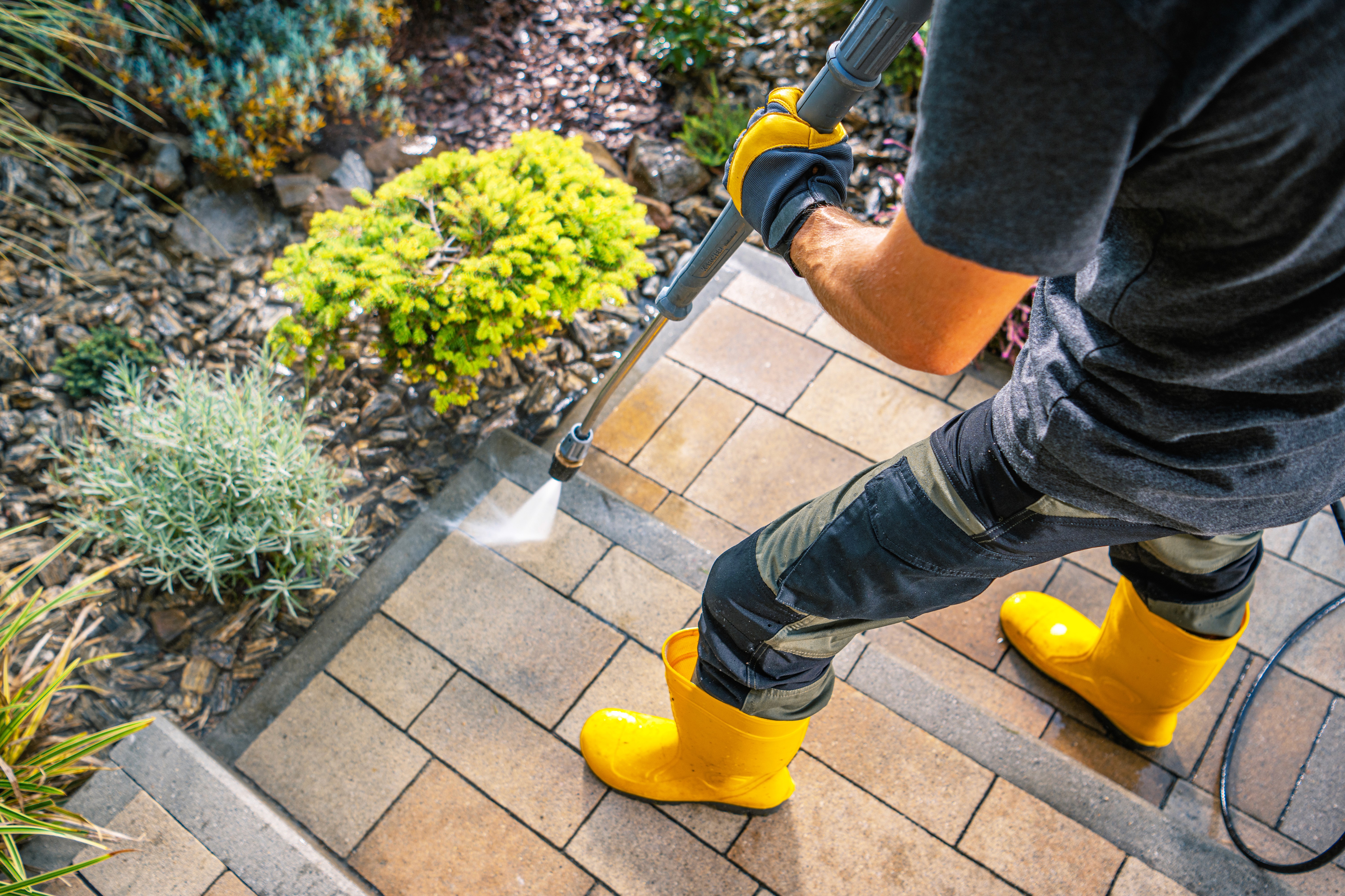 A team of pest controll experts carrying fog machine in an office