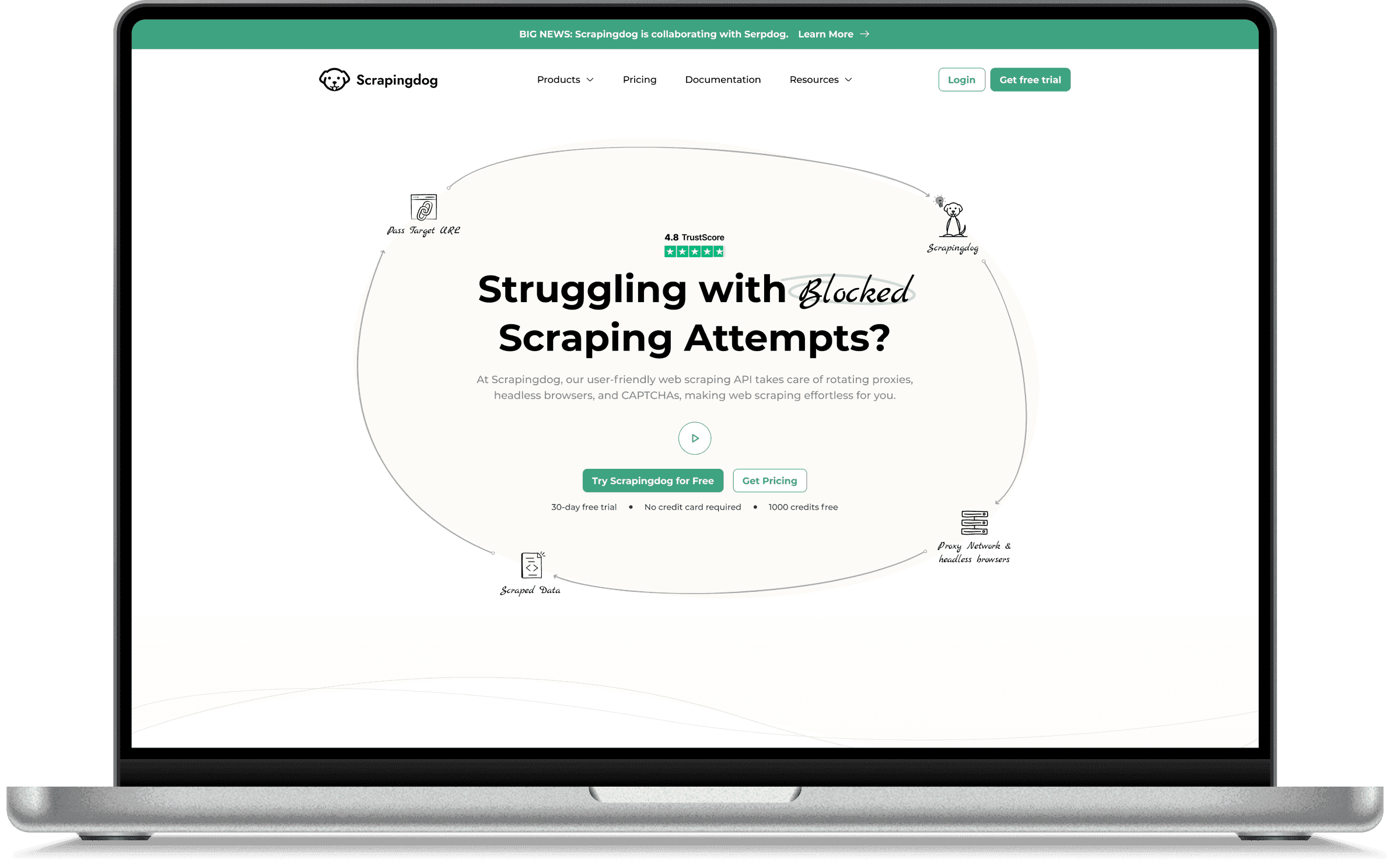 Scrapingdog web scraping landing page interface - Scrapingdog Alternatives