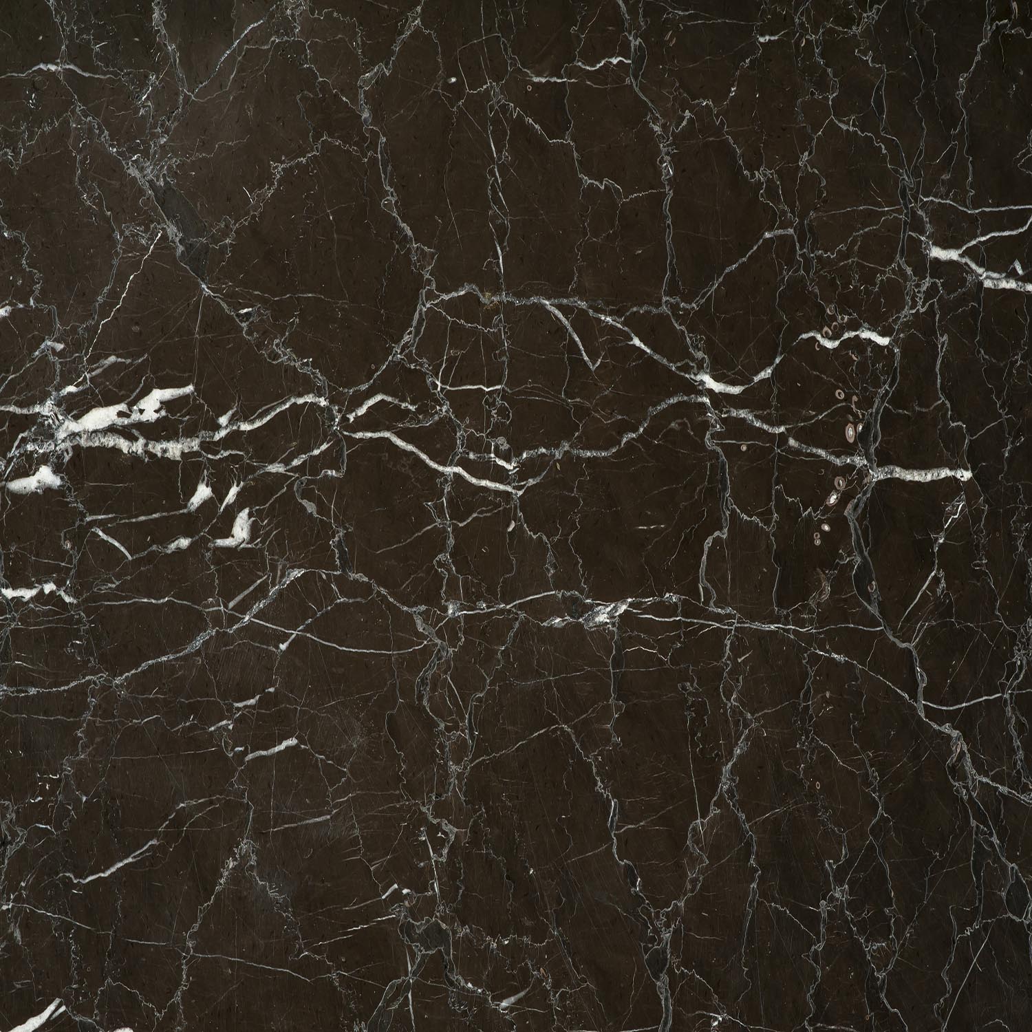 Dunkelbraune Marmorplatte mit weißen Adern