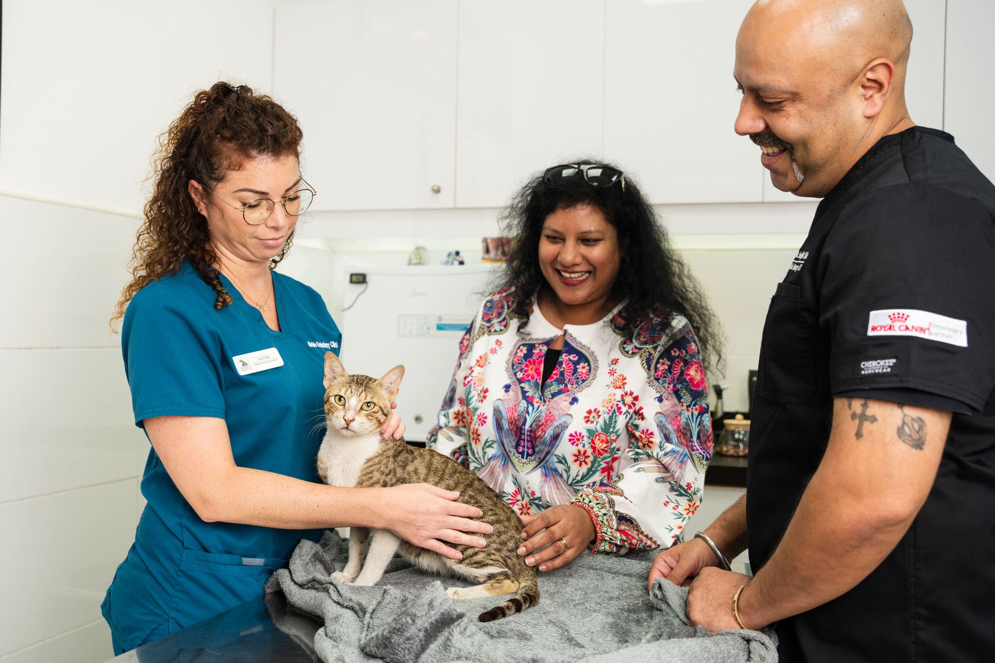 Two veterinarians are talking to a pet owner about preventing FIV in her cat.