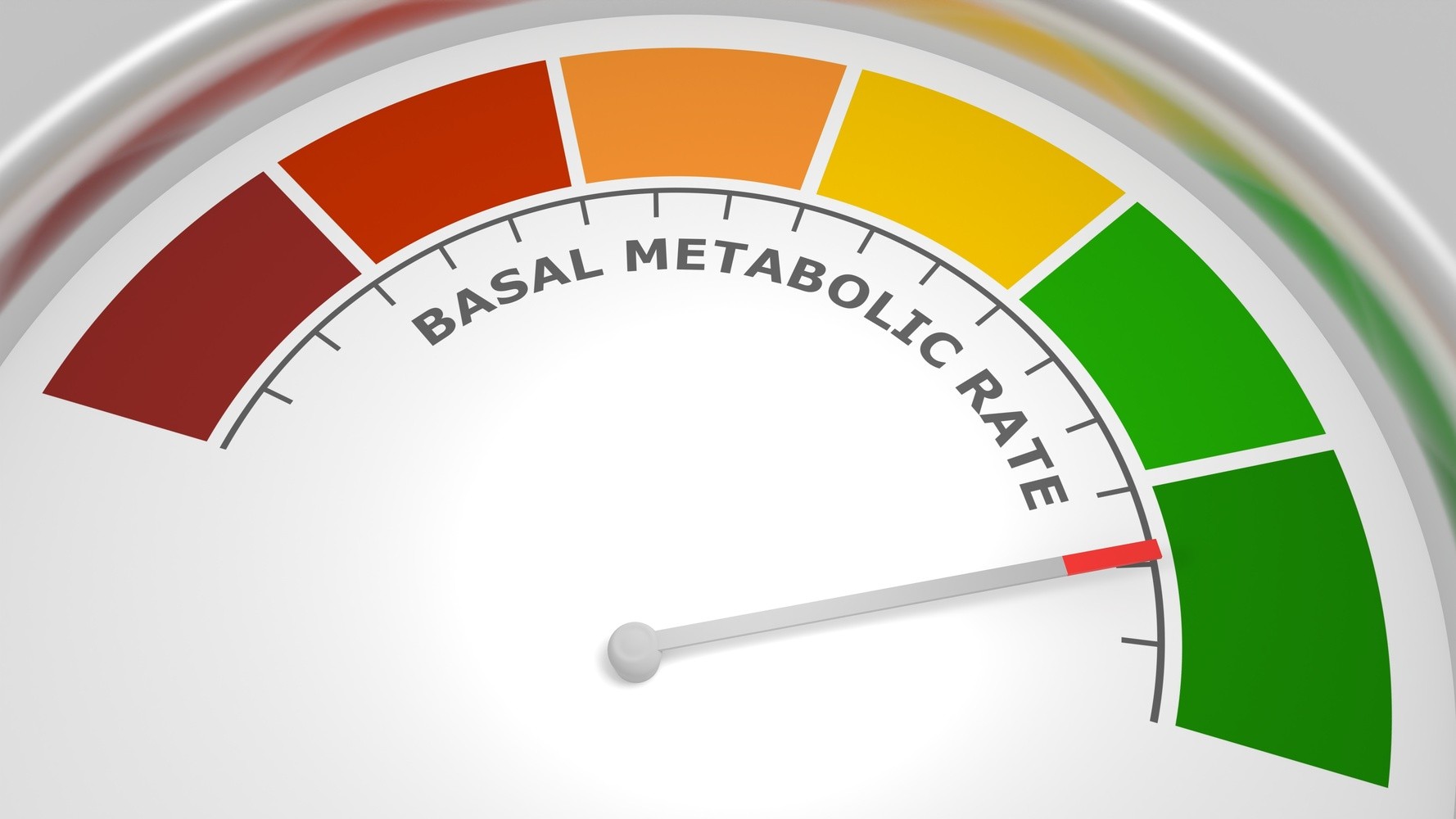 how much calories to eat to lose weight