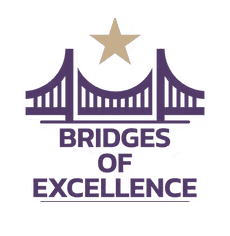 Silhouetted agapanthus flowers against a gradient sky.