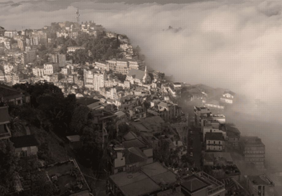 Innovate or Die: The Journey Continues​