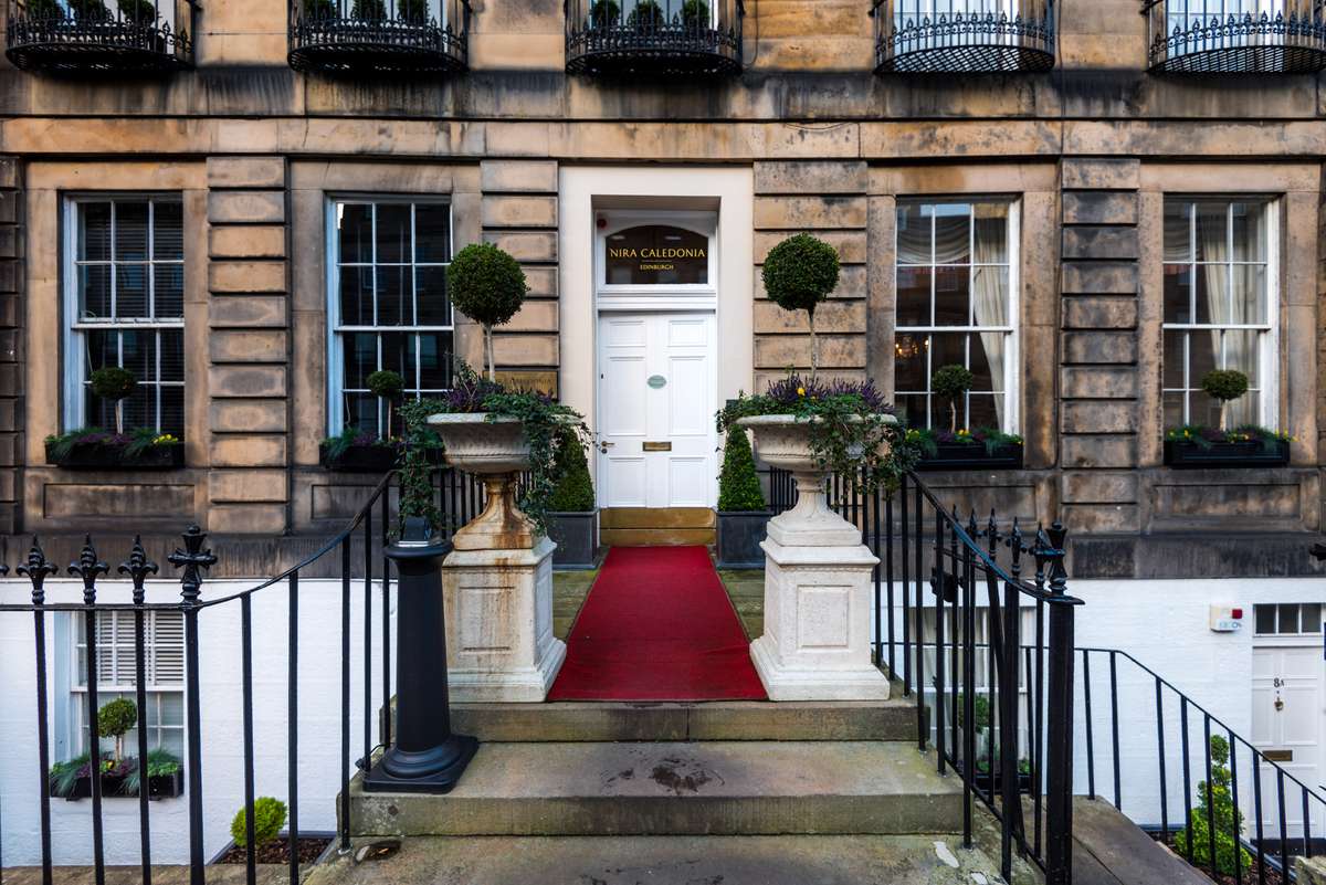 A white door with a red carpet leading up stone steps flanked by black iron railings and green potted plants.