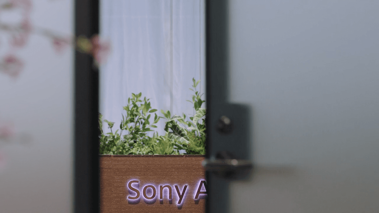 sony sign