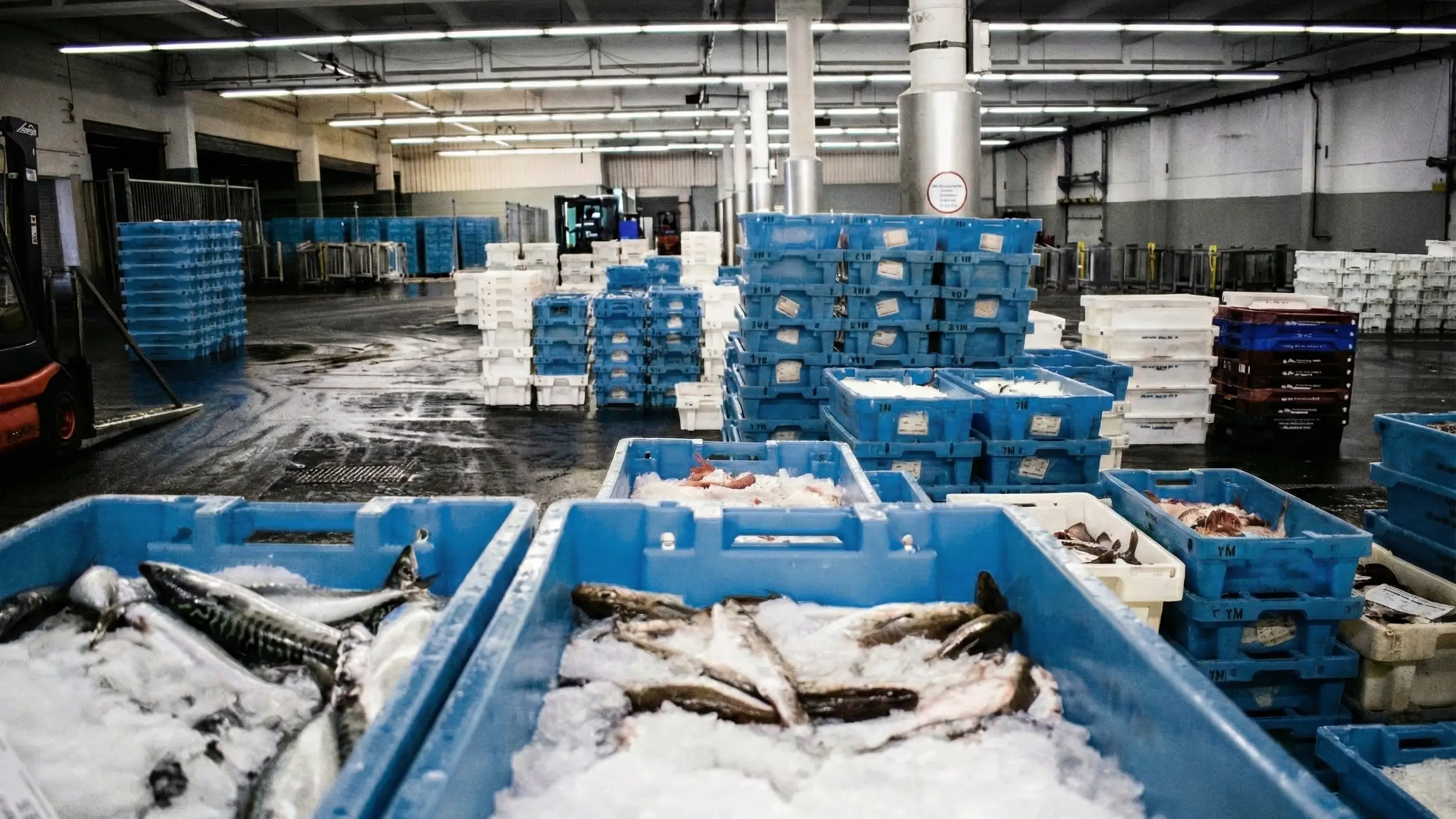 Controllo della sicurezza alimentare nella lavorazione del pesce – industria alimentare