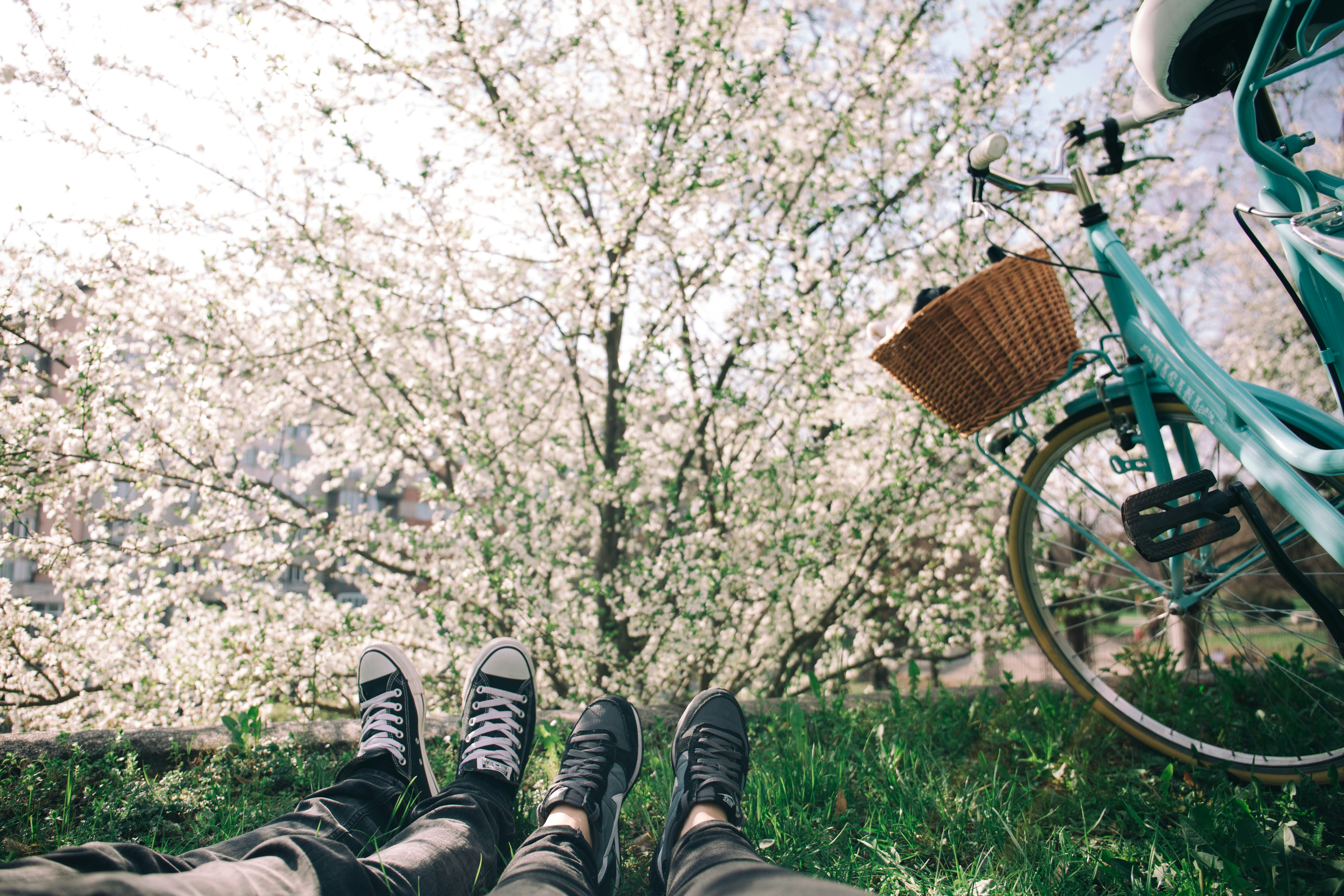 people enjoying in spring - Soft Spring Color Analysis