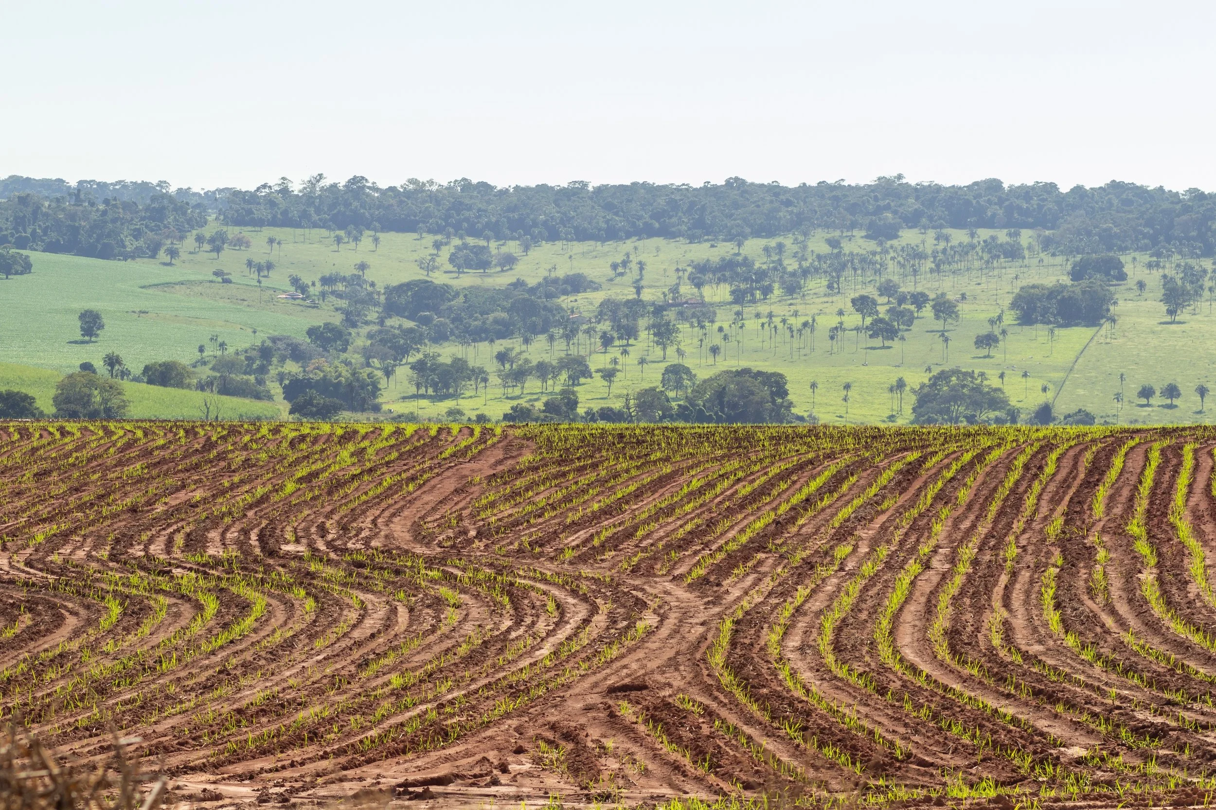 Groundwork BioAg completes $18 million Series B round to decarbonize mainstream agriculture