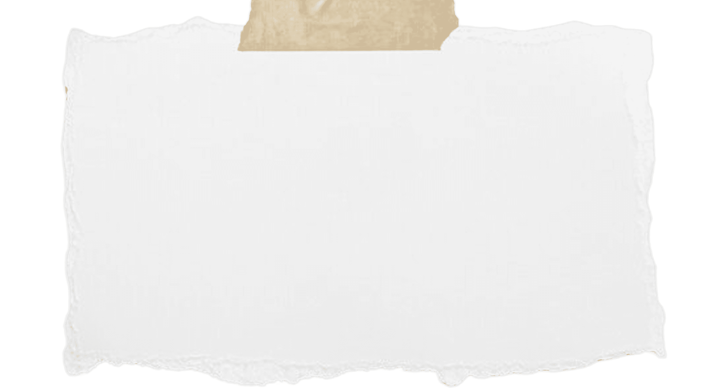 Subtle paper texture background.