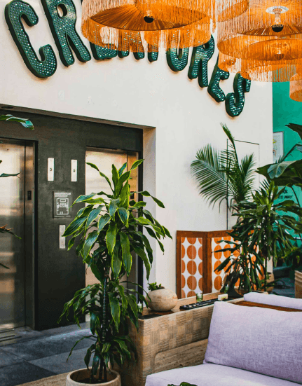 Creatures Rooftop