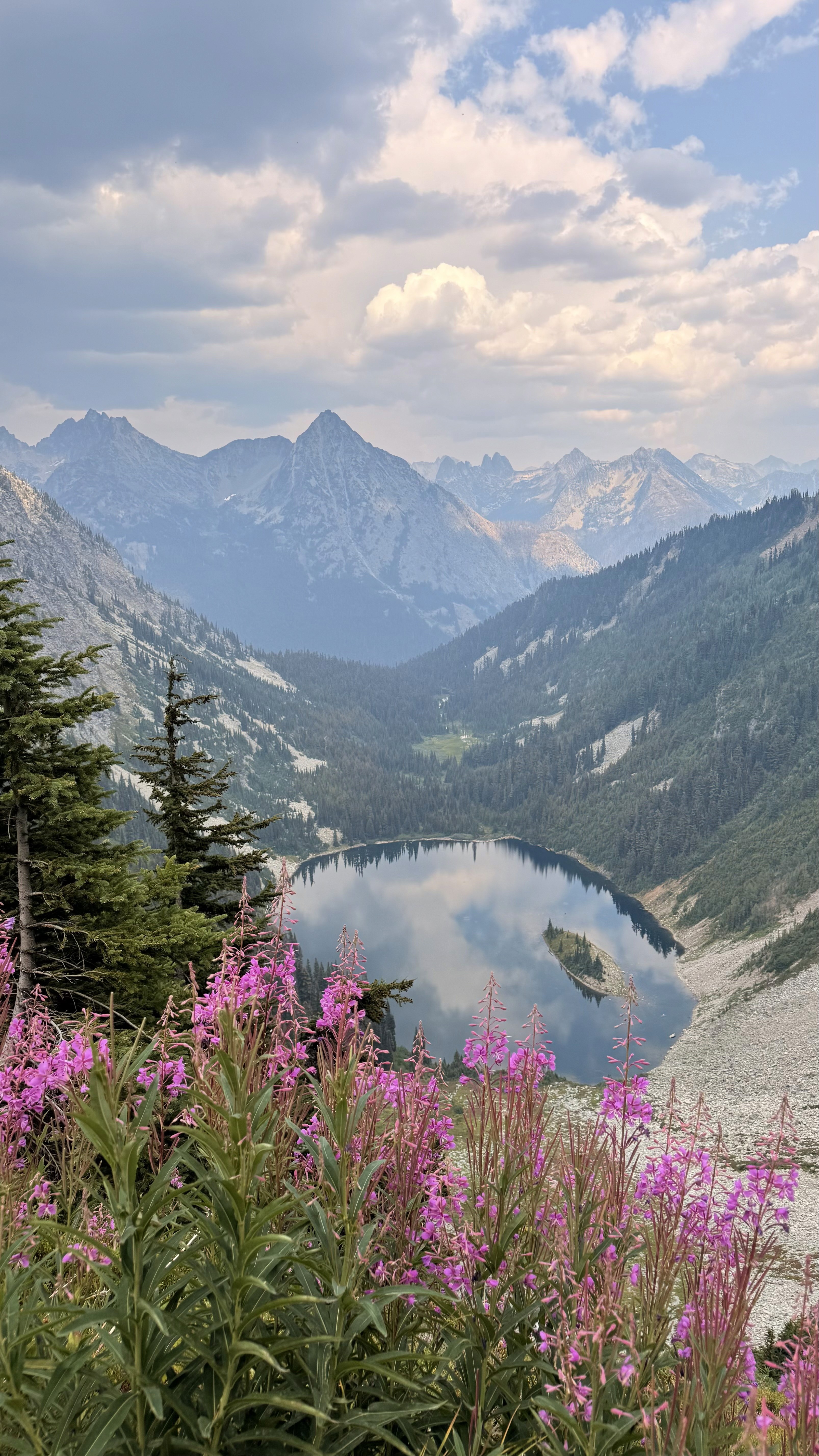 Mountain lake with wildflowers