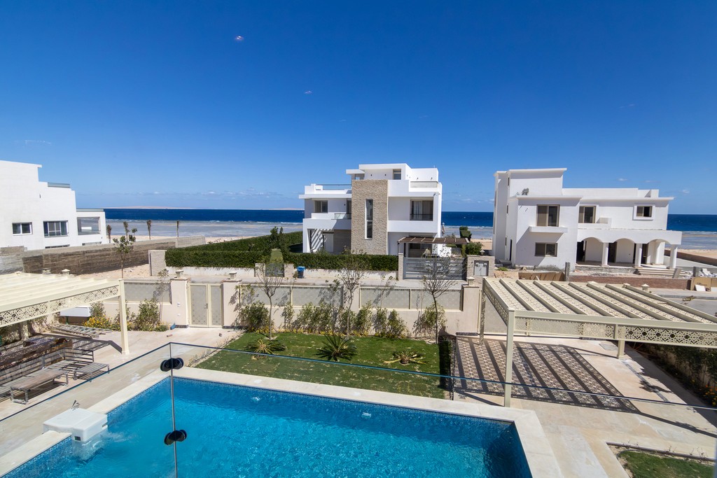 houses surrounded with plants