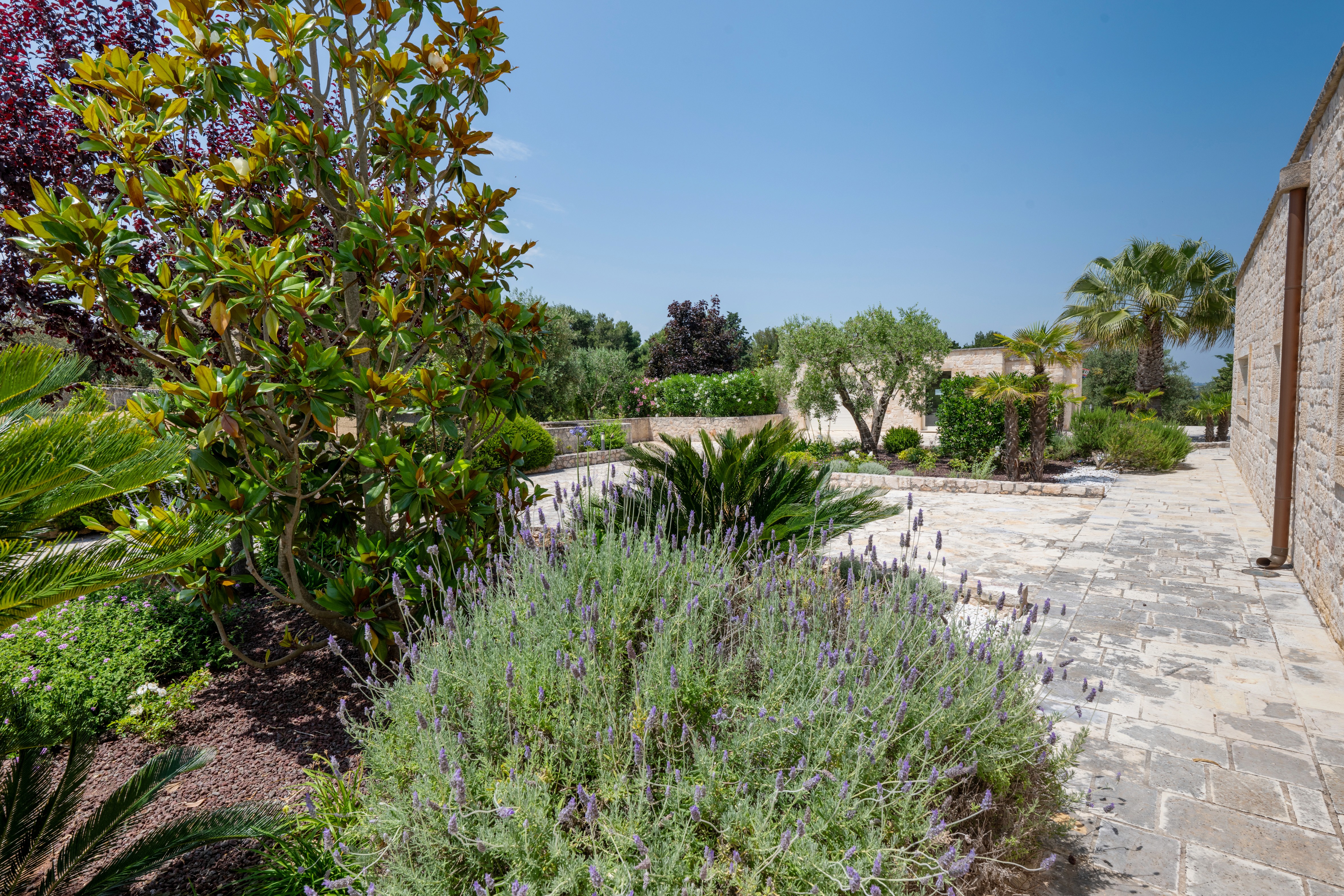 Modern balcony with mountain view and lounge chairs