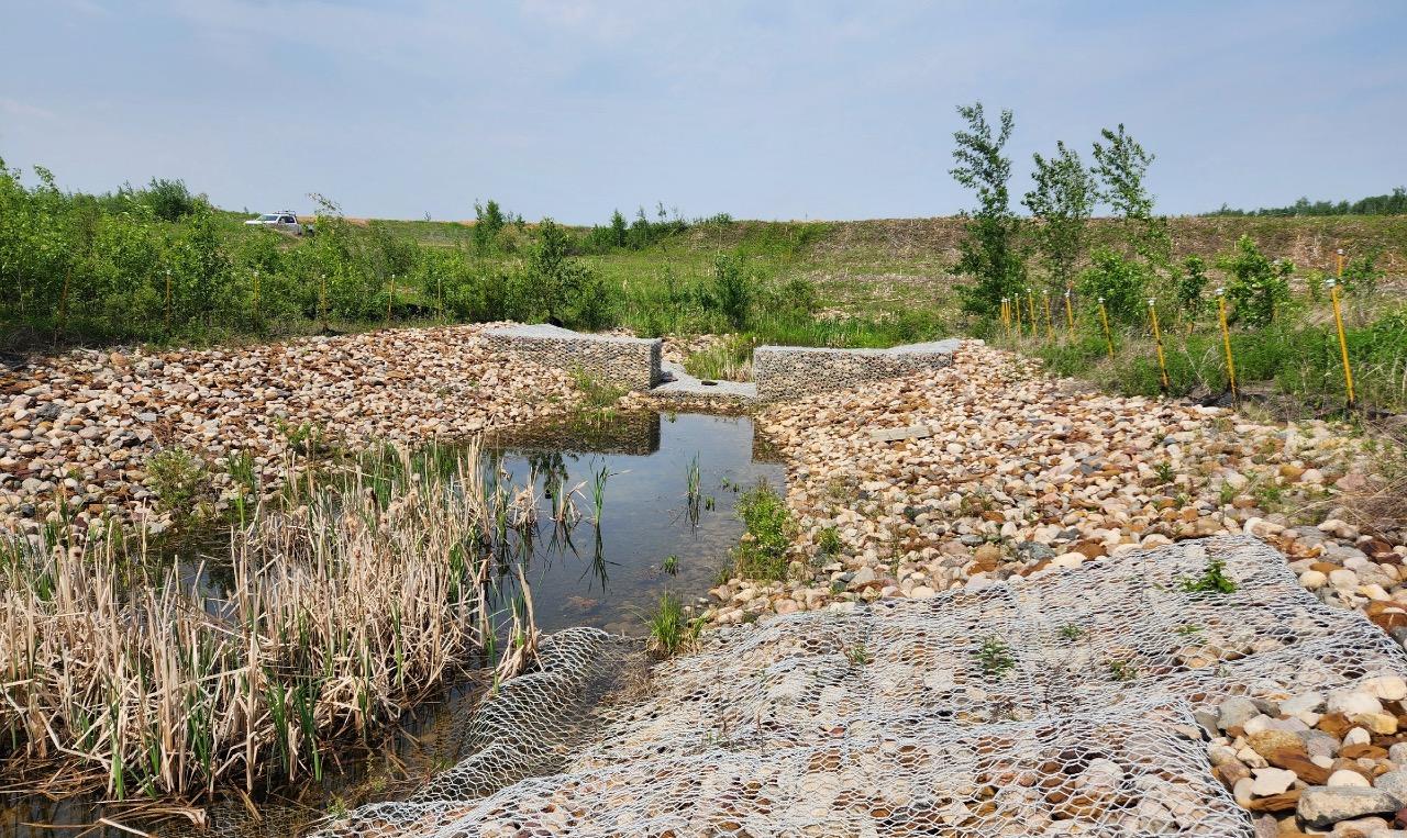 Completed gabion drop structure with established vegetation and pooled water in Fort Saint John, British Columbia