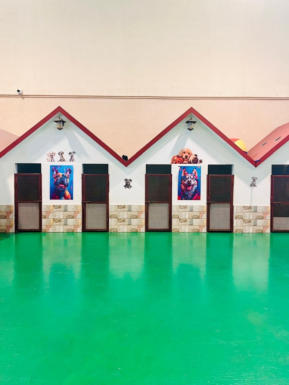 dog daycare and boarding in dubai