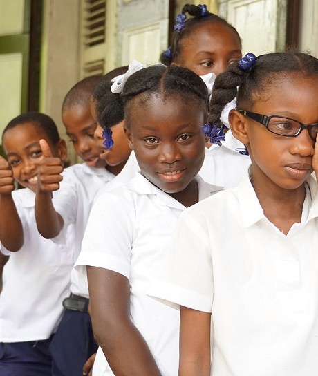 Reforestation and habitat restoration