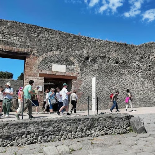 庞贝古城：含语音指南的入场票 + 从萨莱诺往返的火车票