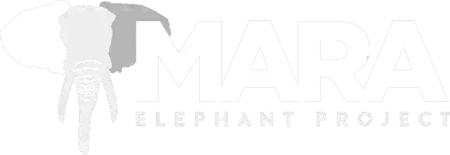 Mara Elephant Project logo, by gaia.eco, shining illuminum for Gaia.