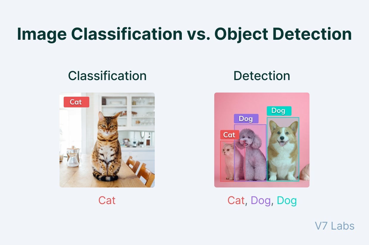 Image classification vs. Object detection